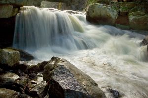 41  AK323-Bicknel-Brook.jpg
